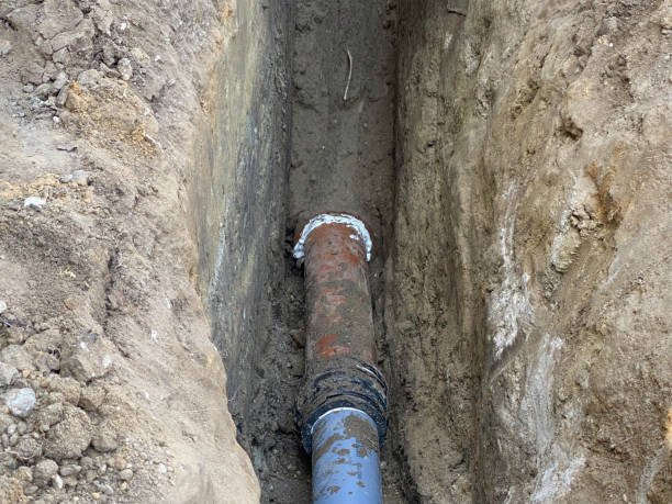 Best Local water damage restoration  in Cayuga, IN