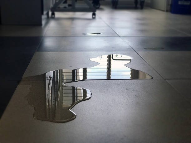 Water damage restoration insurance claims in IN