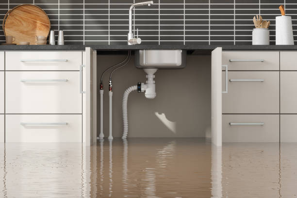 24/7 water damage repair in IN