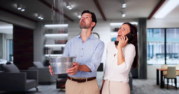 Best Commercial water damage restoration  in Cayuga, IN